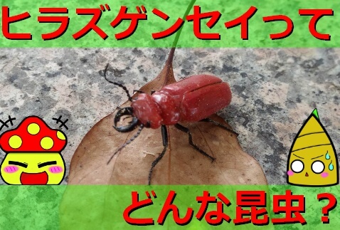 Thumbnail of post image 105